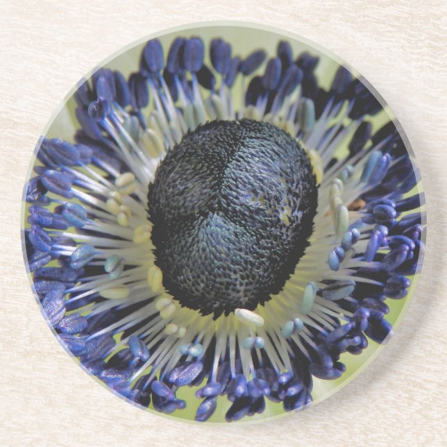 Anemone Mistral Panda Coaster (Front)