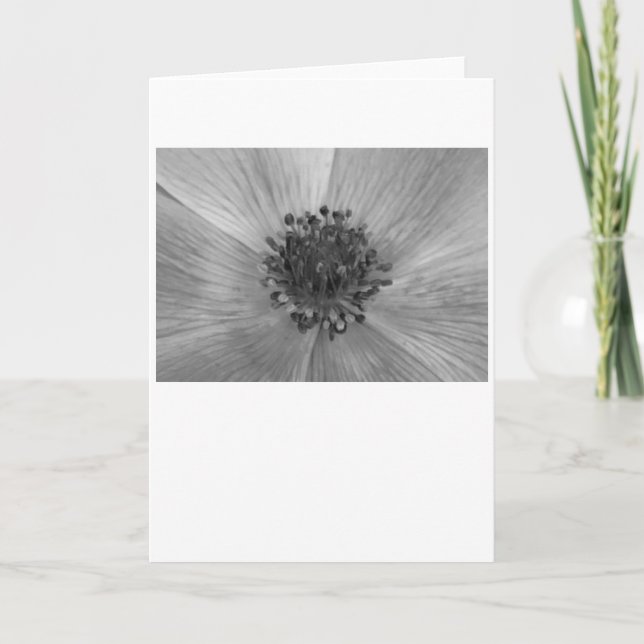 Anemone / Noir, card (Front)