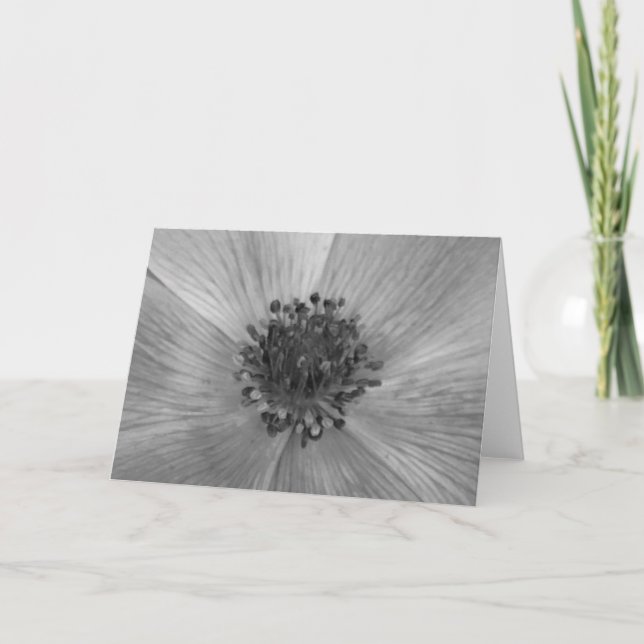 Anemone / Noir, card (Front)