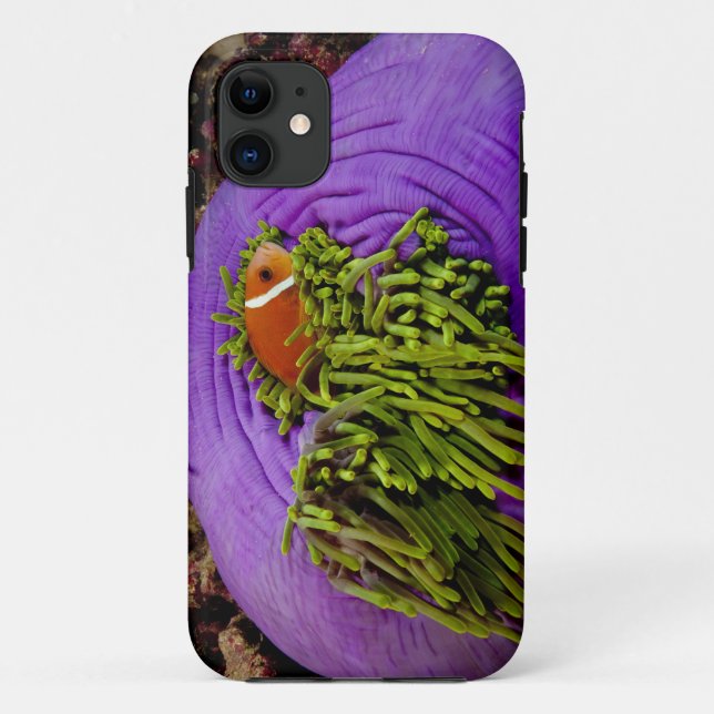 Anemonefish and large anemone Case-Mate iPhone case (Back)