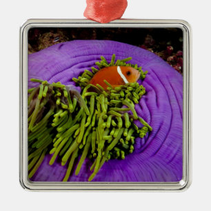 Anemonefish and large anemone metal tree decoration