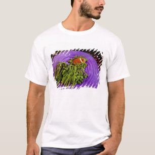 Anemonefish and large anemone T-Shirt