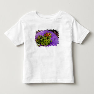 Anemonefish and large anemone toddler T-Shirt