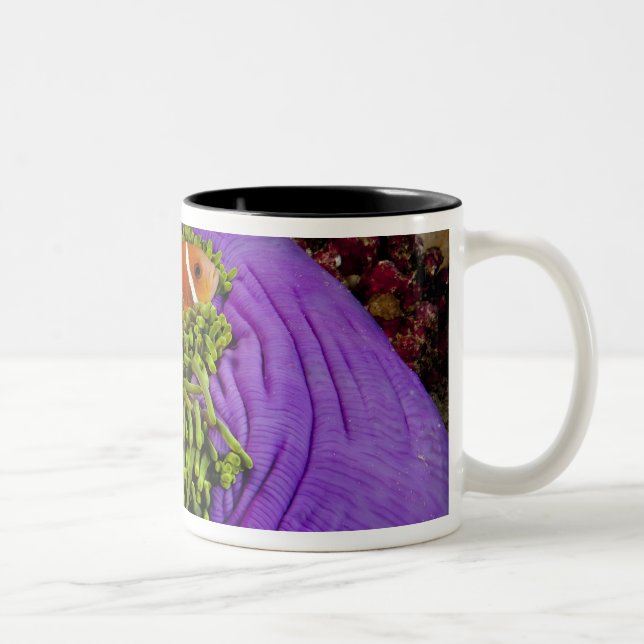 Anemonefish and large anemone Two-Tone coffee mug (Right)
