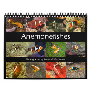 Anemonefishes Wall Calendar by J.W. Fatherree.