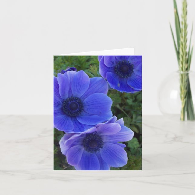 anemones card (Front)