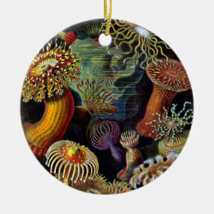 Anemones from Under the Sea Classic Round Sticker Ceramic Tree Decoration
