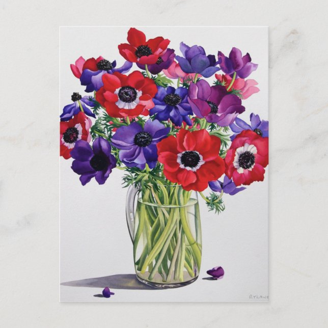 Anemones in a Glass Jug Postcard (Front)
