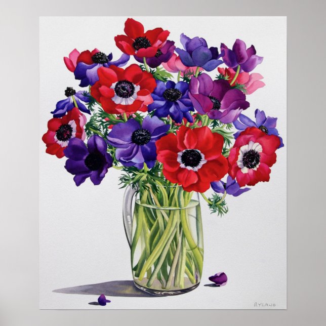 Anemones in a Glass Jug Poster (Front)