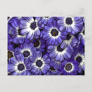 Anemones Postcard