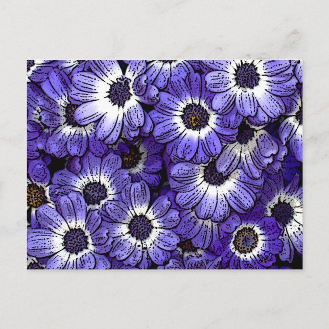 Anemones Postcard (Front)