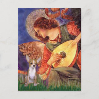 Angel3-Chihuahua1 Postcard
