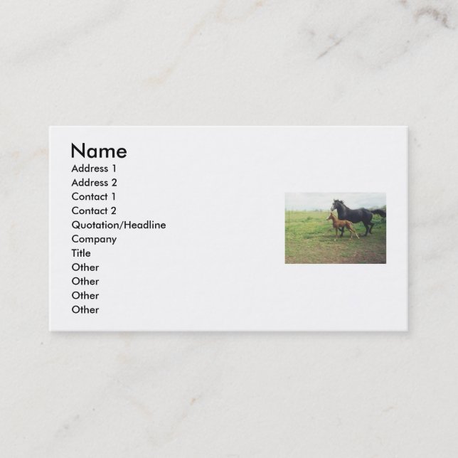 Angel and Spot Business Card (Front)