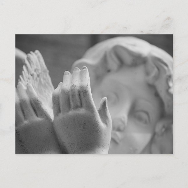 Angel by Shirley Taylor Postcard (Front)
