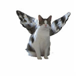 Angel Cat Photo Sculpture Key Ring<br><div class="desc">Carry proof of angels being among us with this angel kitty key chain. Surely someone will believe you!</div>