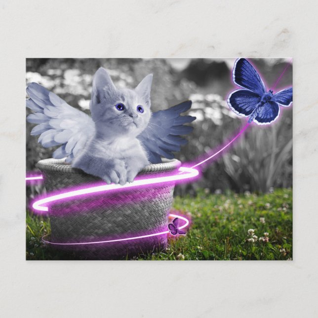 angel cat postcard (Front)