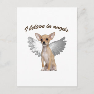 Angel Chihuahua Postcard
