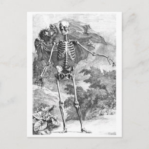 Angel covering a standing skeleton postcard