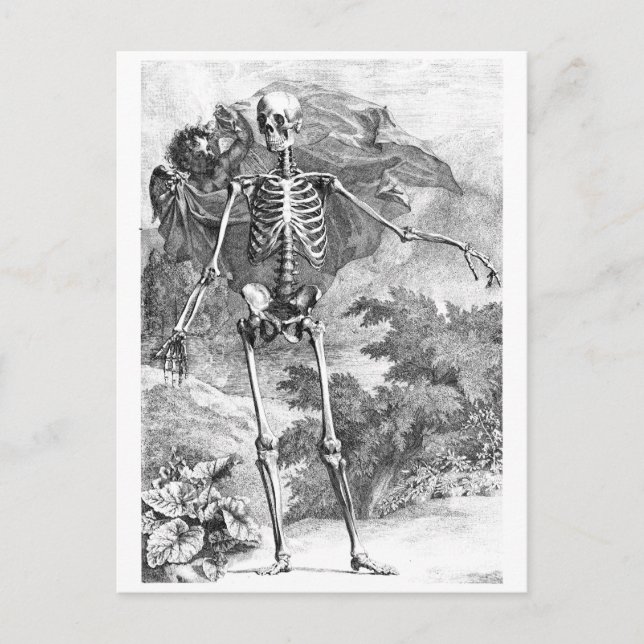 Angel covering a standing skeleton postcard (Front)