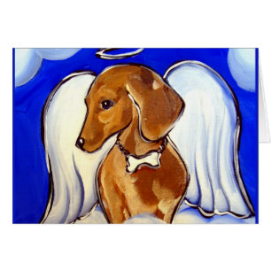 Angel Dachshund