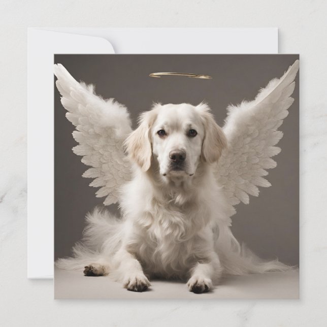 Angel Dog  Card (Front)