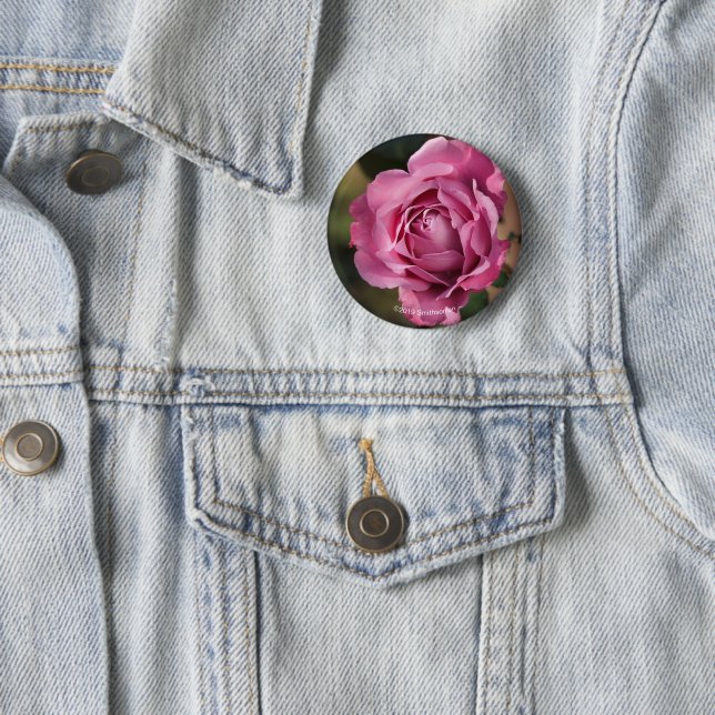 Angel Face Rose 6 Cm Round Badge (In Situ)