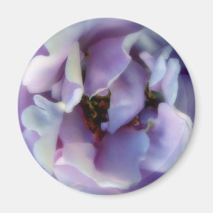 Angel Face Rose Magnet