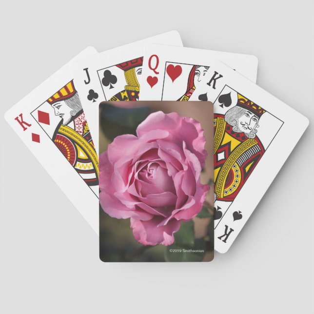 Angel Face Rose Playing Cards (Back)