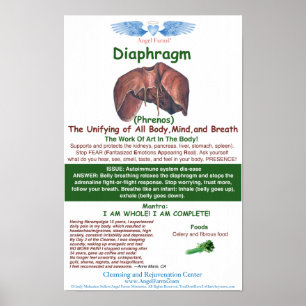 Angel Farms Diaphragm Chart