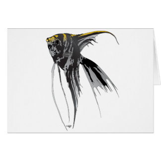 Angel Fish
