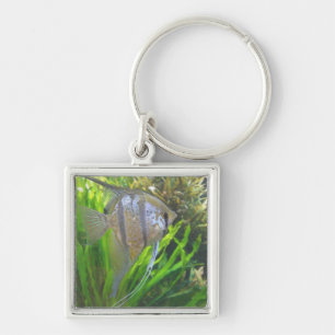 Angel Fish Key Ring