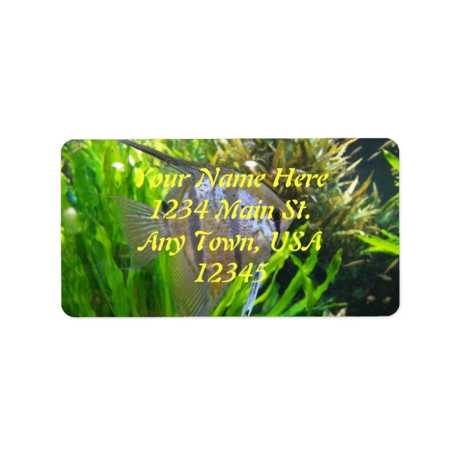 Angel Fish Label (Front)