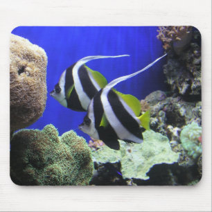 Angel Fish Mouse Mat