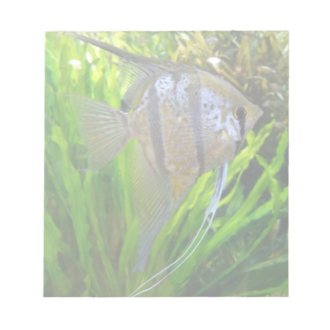 Angel Fish Notepad (Front)
