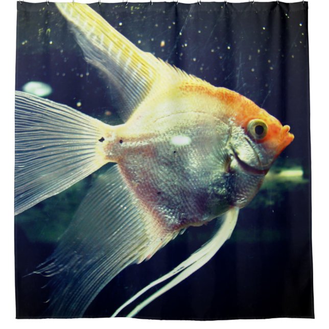 Angel Fish Shower Curtain (Front)