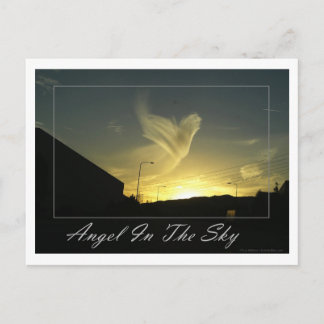 Angel In The Sky (Los Angeles) Postcard