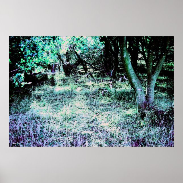Angel Island 2 Poster Medium (28" x 18.7") (Front)