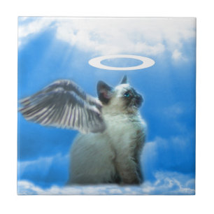 Angel Kitten Cat Tile