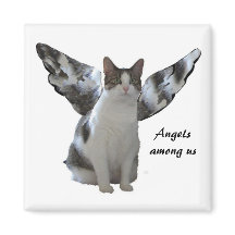 Angel Kitty Magnet