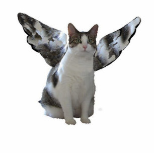 Angel Kitty Ornament Photo Sculpture Decoration