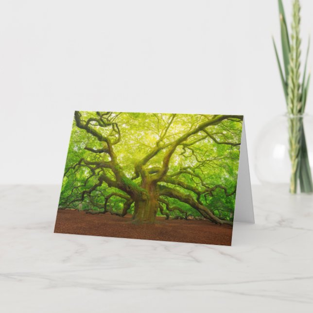 Angel Oak Card (Front)