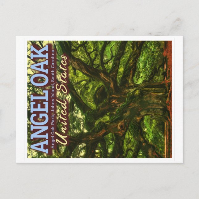 ANGEL OAK - CHARLESTON SOUTH CAROLINA US POSTCARD (Front)