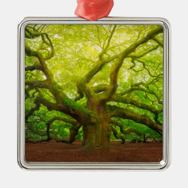 Angel Oak Metal Tree Decoration (Front)