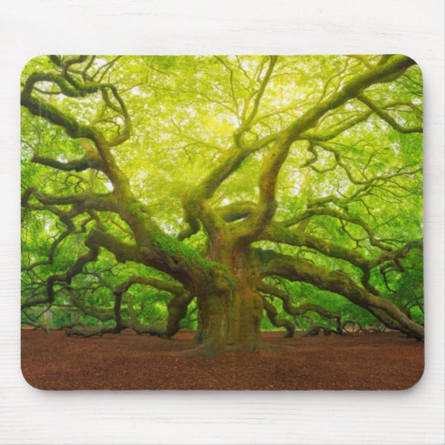 Angel Oak Mouse Mat (Front)