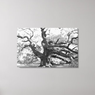 Angel Oak on canvas Print