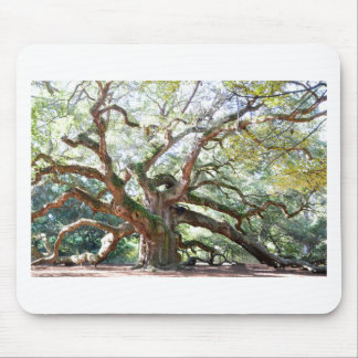 Angel Oak Tree Gifts Mouse Mat