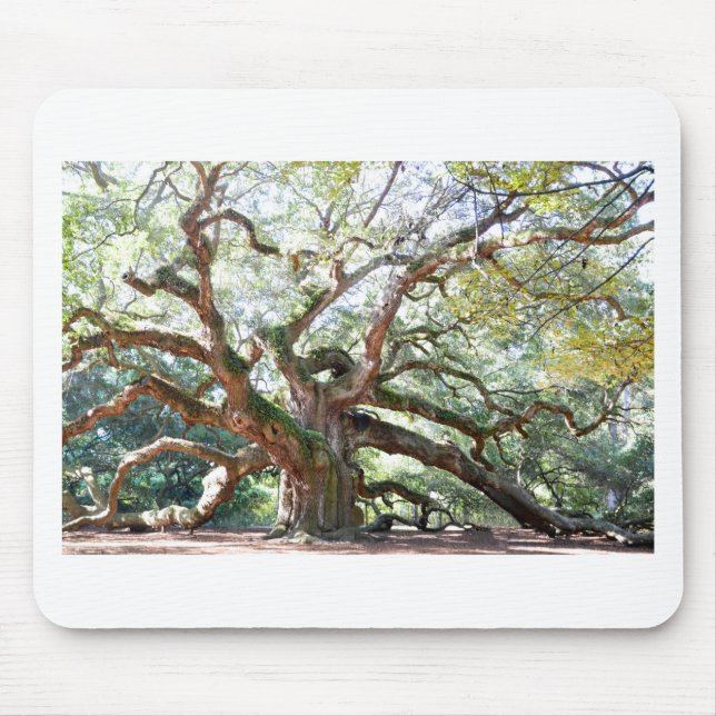 Angel Oak Tree Gifts Mouse Mat (Front)