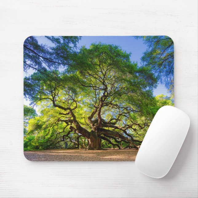 Angel Oak Tree Mouse Mat (With Mouse)