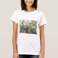 Angel Oak Tree