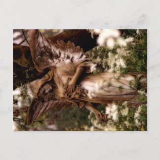 Angel of Highgate Postcard